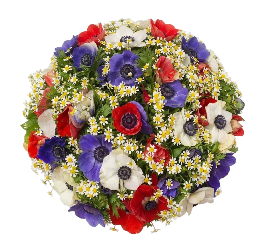 Colorful Anemone with Tanacetum Bouquet