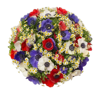 Colorful Anemone with Tanacetum Bouquet