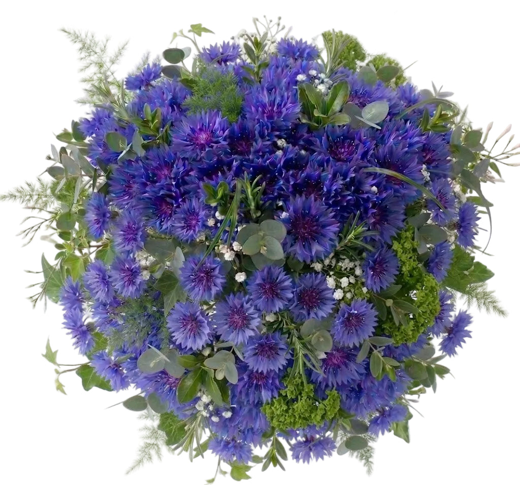 Cornflower Bouquet with Greenery
