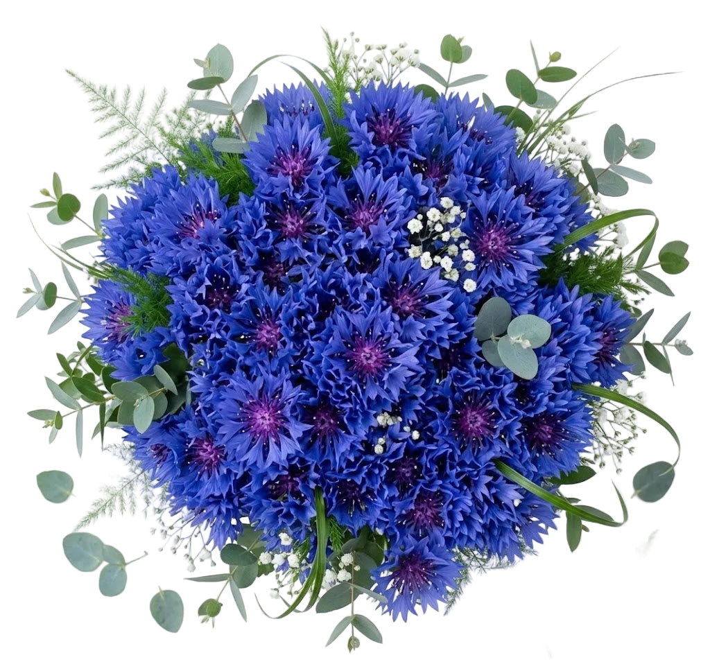 Cornflower Bouquet with Greenery