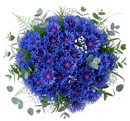 Cornflower Bouquet with Greenery