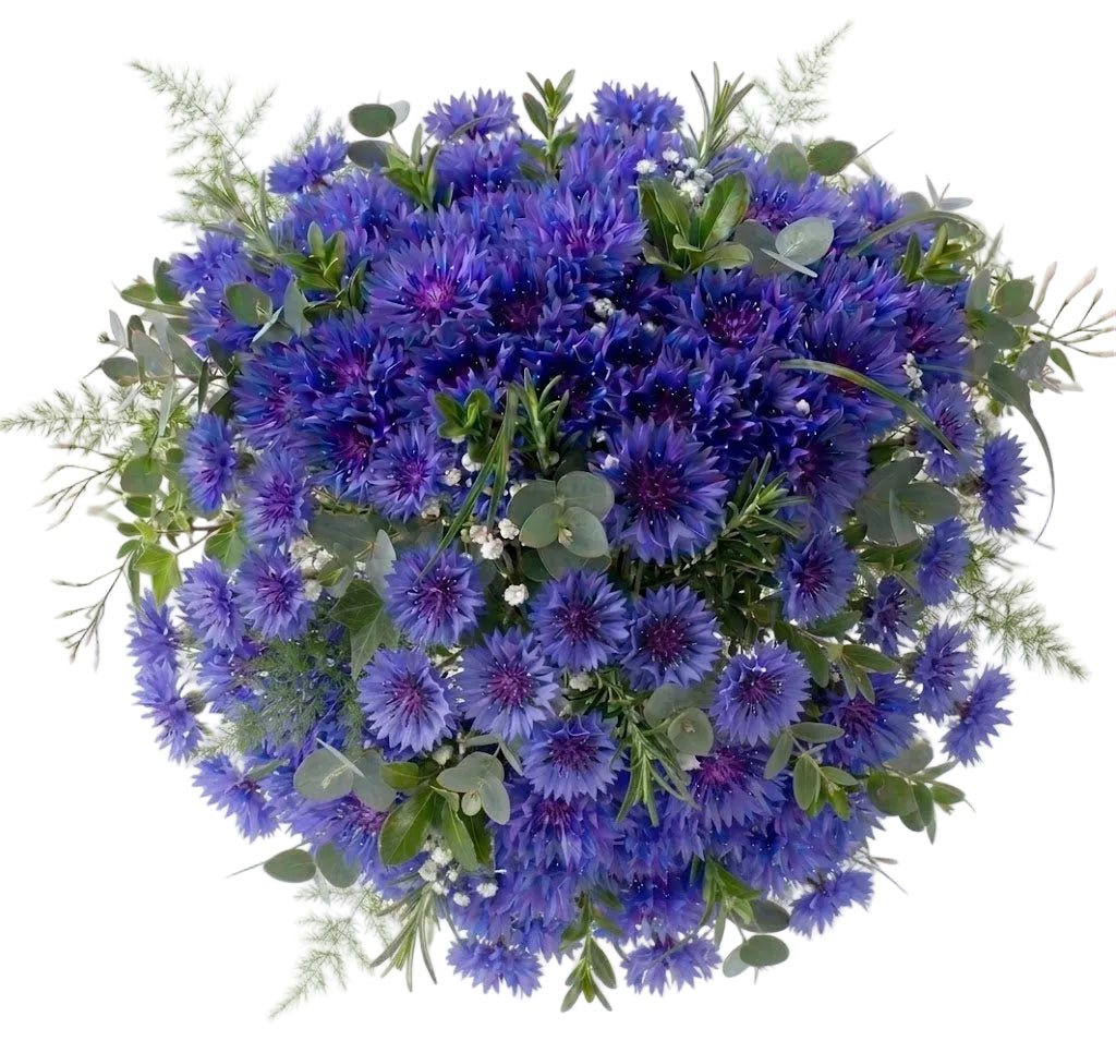 Cornflower Bouquet with Greenery