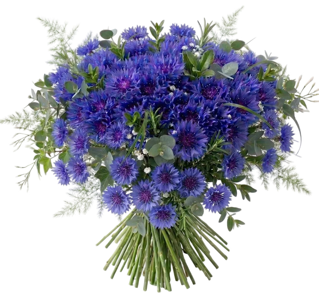 Cornflower Bouquet with Greenery