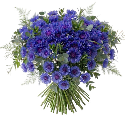Cornflower Bouquet with Greenery