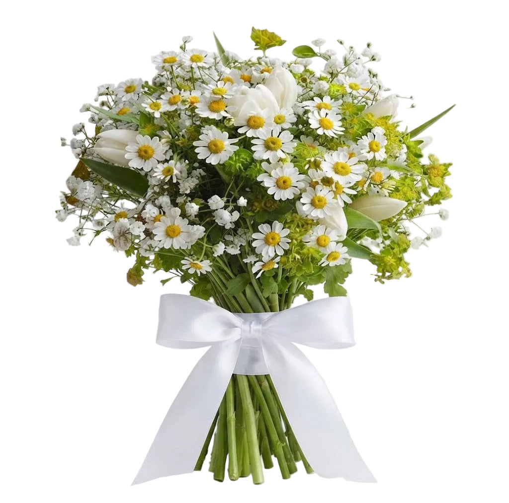 Cute Bouquet of Daisy Tanacetum and Tulips
