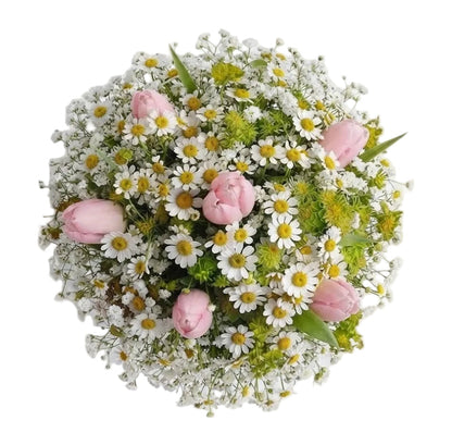 Cute Bouquet of Daisy Tanacetum and Tulips