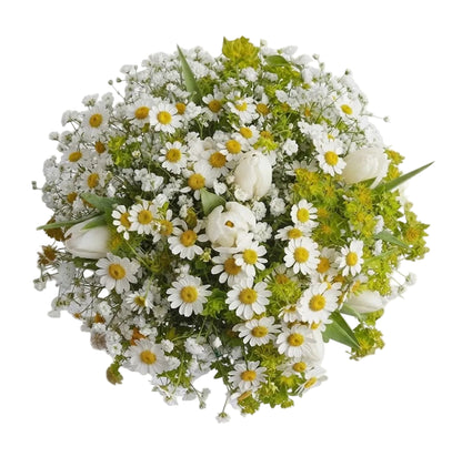 Cute Bouquet of Daisy Tanacetum and Tulips