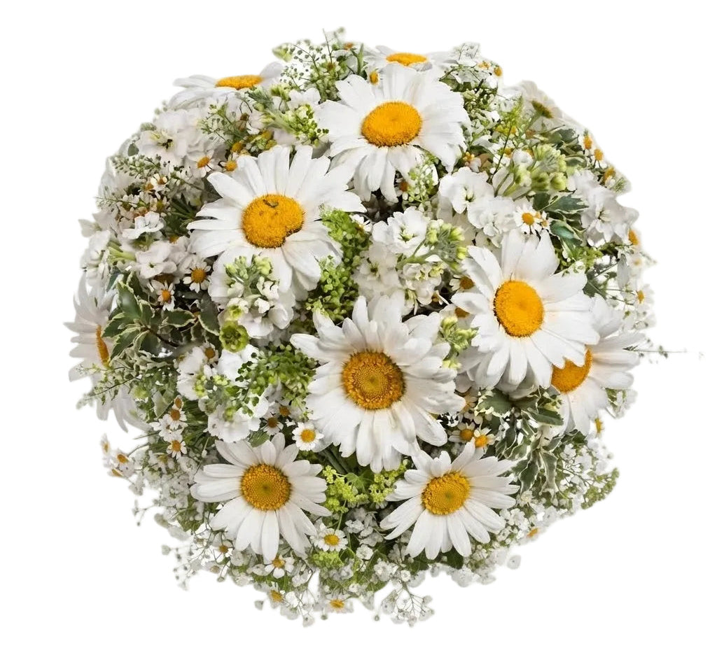 Daisies and Stock Bouquet