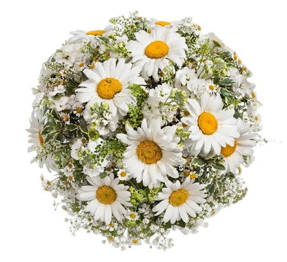 Daisies and Stock Bouquet