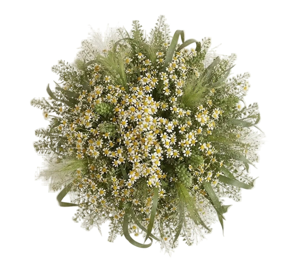 Daisy Tanacetum with Greenery Wild Bouquet