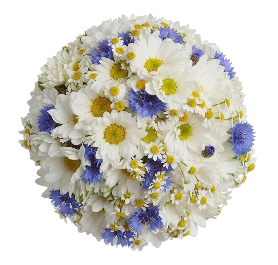 A round floral bouquet featuring white daisies with yellow centers, white chrysanthemums, and small blue cornflowers, photographed from directly above on a white background.