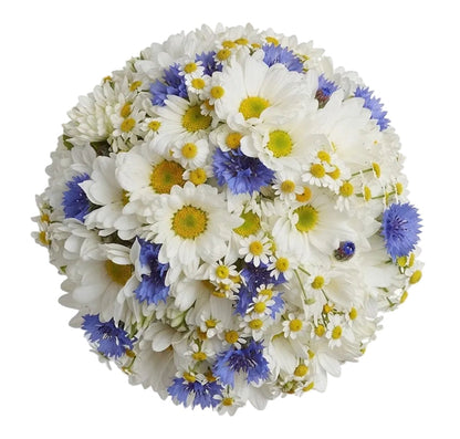 A round floral bouquet featuring white daisies with yellow centers, white chrysanthemums, and small blue cornflowers, photographed from directly above on a white background.