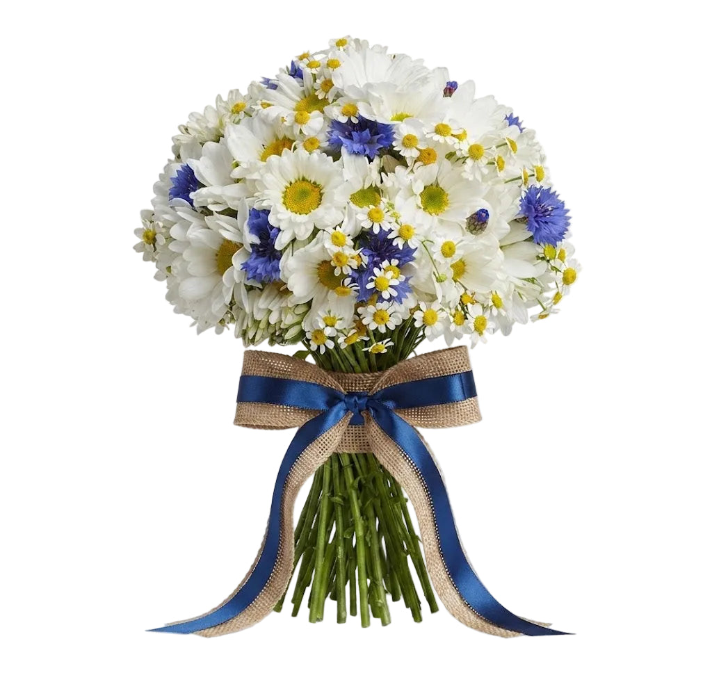 Duo Daisy with Cornflower Bouquet