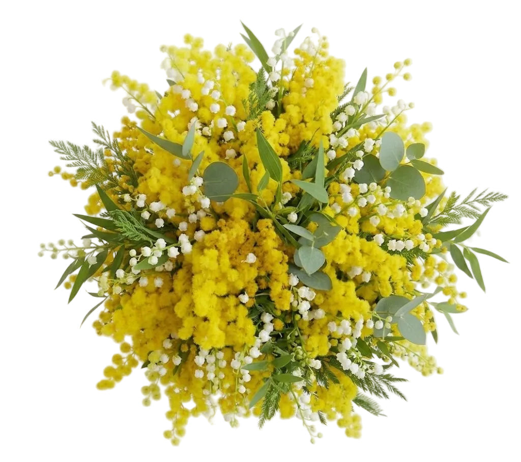 Fragrant Bouquet of Mimosa and Lily of the Valley