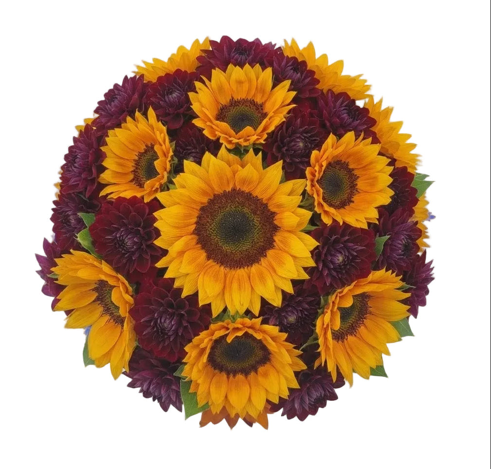 Gorgeous Bouquet of Sunflowers and Dahlia