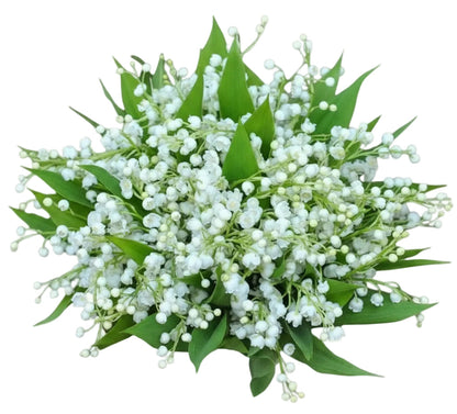 Elegant Lily of the Valley Wedding Bouquet