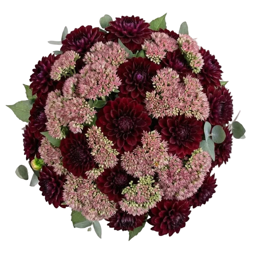 Luxury Bouquet of Dahlia and Pink Sedum