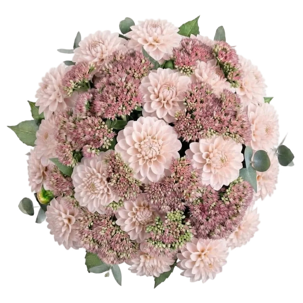 Luxury Bouquet of Dahlia and Pink Sedum