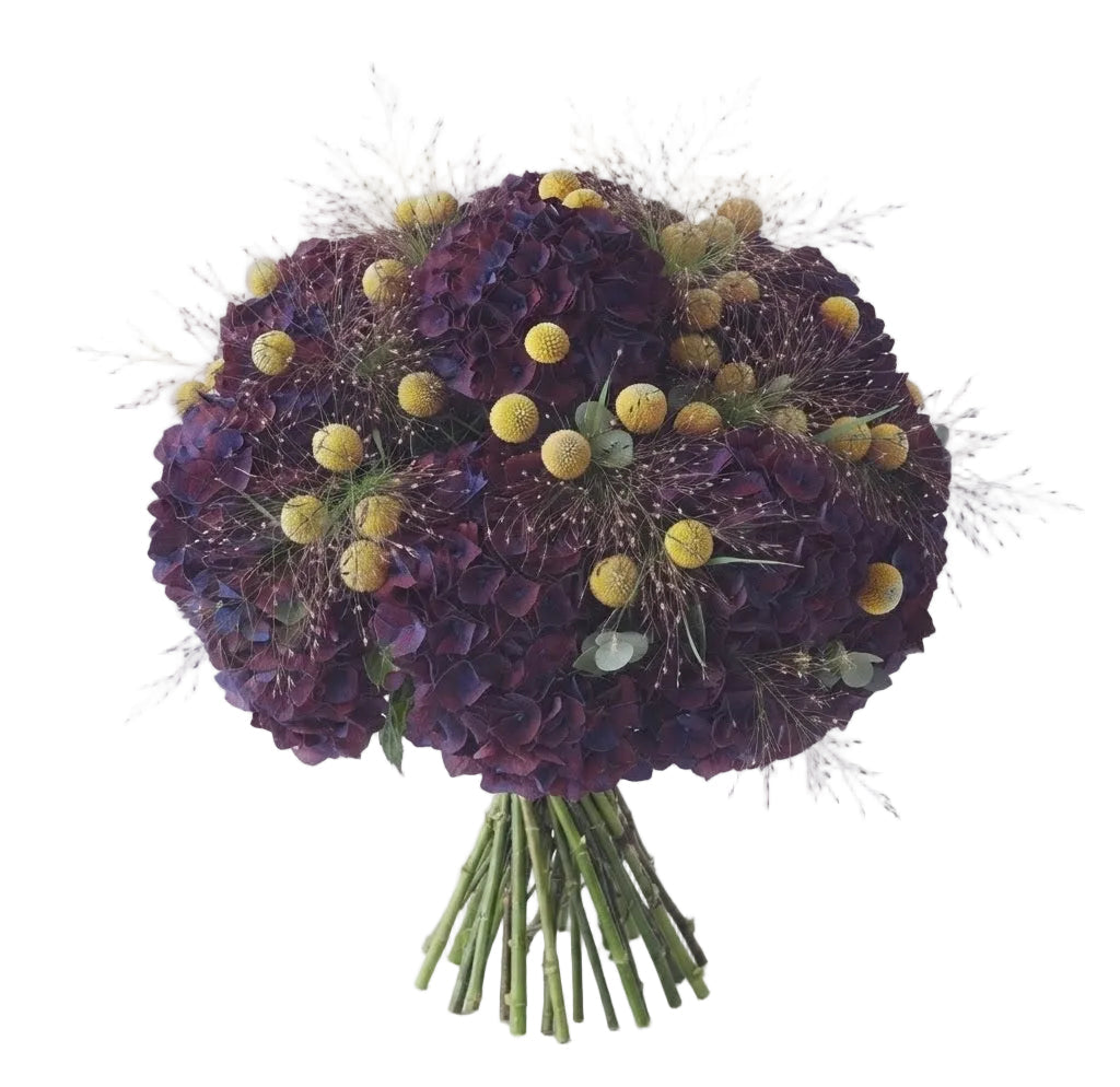 Luxury Hydrangea Bouquet with Craspedia