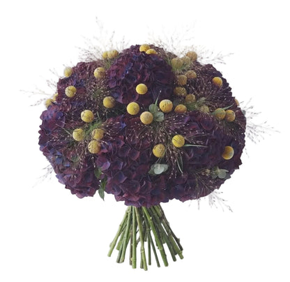Luxury Hydrangea Bouquet with Craspedia