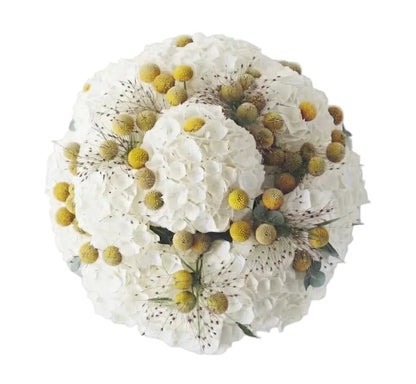 Luxury Hydrangea Bouquet with Craspedia