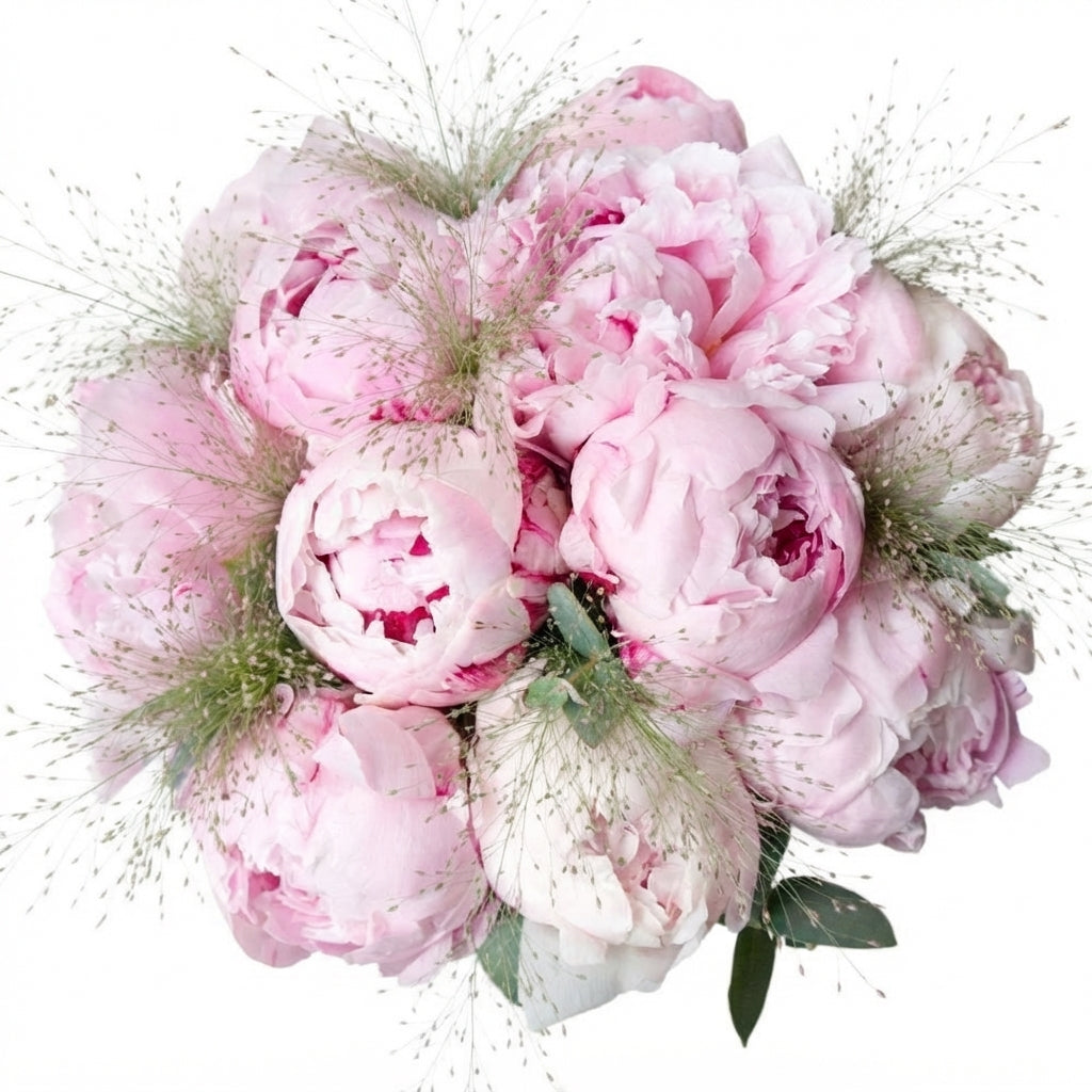 Luxury Peonies Bouquet with Panicum Grass