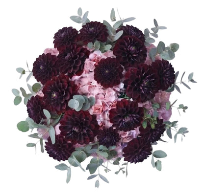 Magnificent Bouquet of Hydrangea and Burgundy Dahlia