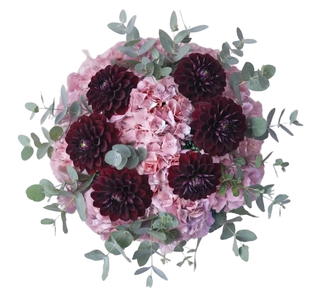 Magnificent Bouquet of Hydrangea and Burgundy Dahlia
