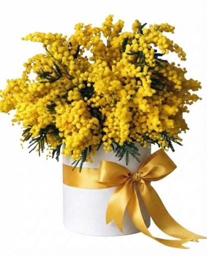 Mimosa Scented Box