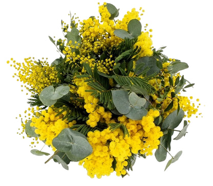 Mimosa with Eucalyptus Bouquet