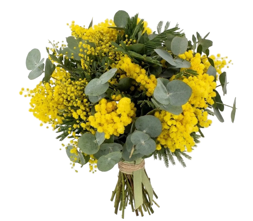 Mimosa with Eucalyptus Bouquet