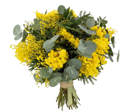 Mimosa with Eucalyptus Bouquet
