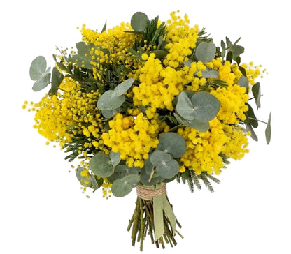Mimosa with Eucalyptus Bouquet