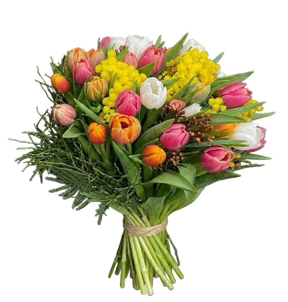 Multicolored Tulips with Mimosa and Greenery