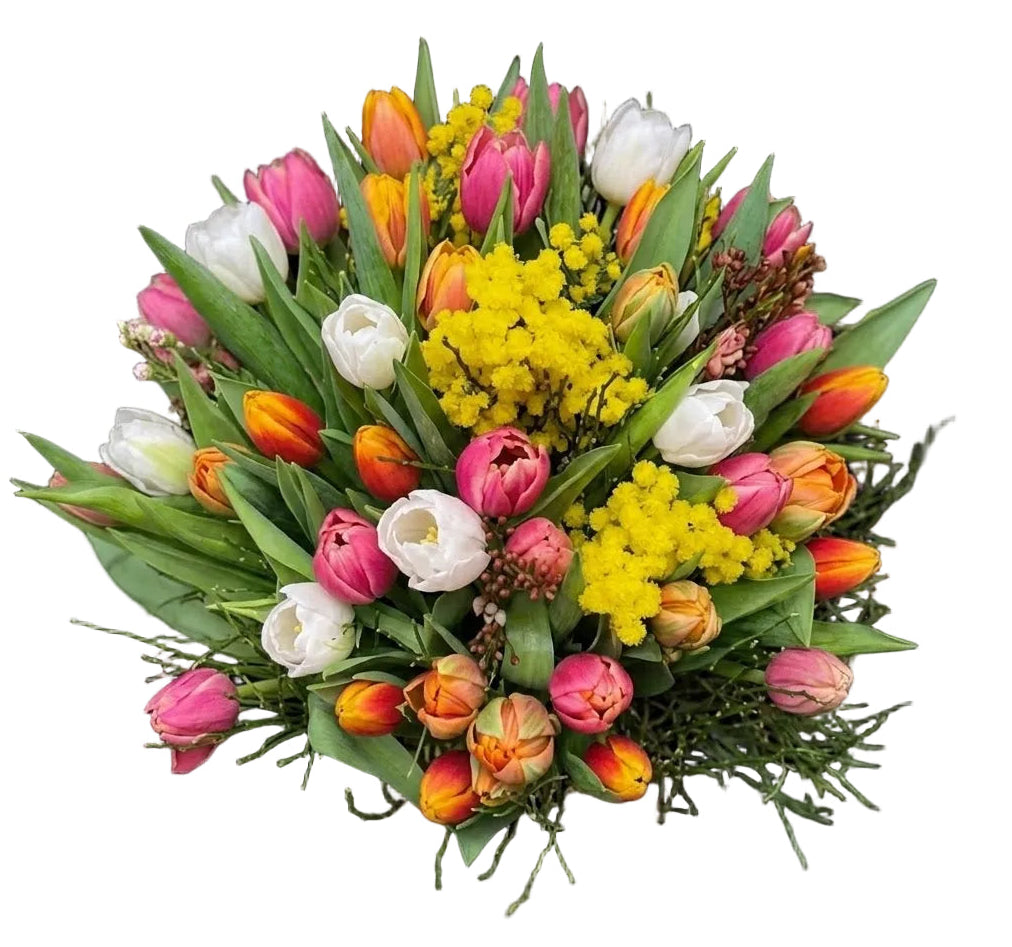 Multicolored Tulips with Mimosa and Greenery