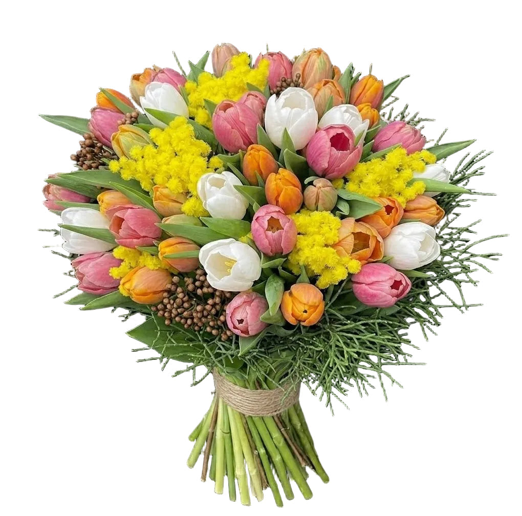 Multicolored Tulips with Mimosa and Greenery