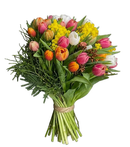 Multicolored Tulips with Mimosa and Greenery