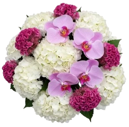 Pink Orchid & Hydrangea Celebration Bouquet