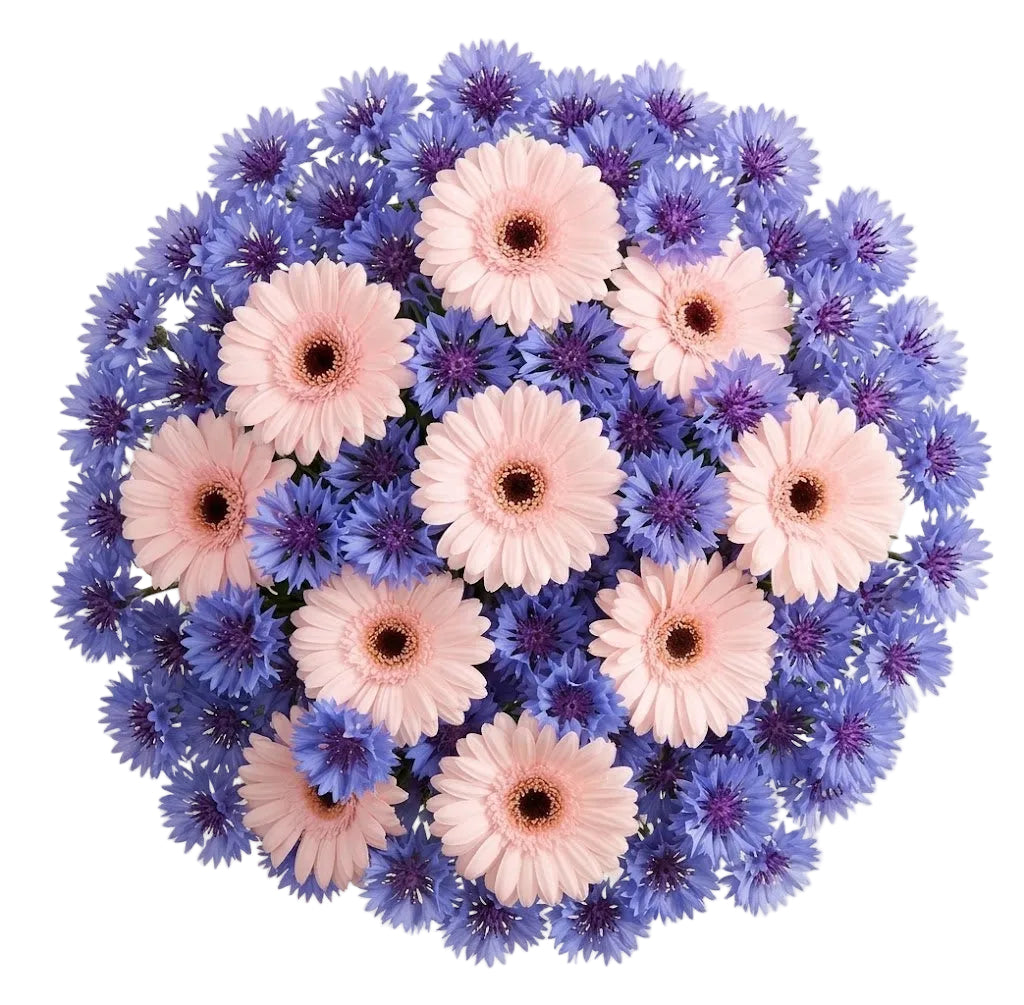 Pretty Bouquet of Gerbera and Cornflowers
