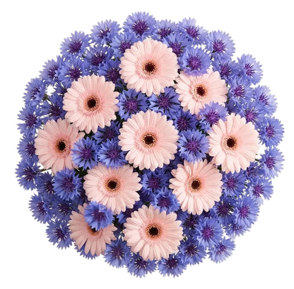 Pretty Bouquet of Gerbera and Cornflowers