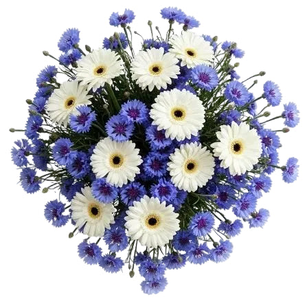 Pretty Bouquet of Gerbera and Cornflowers