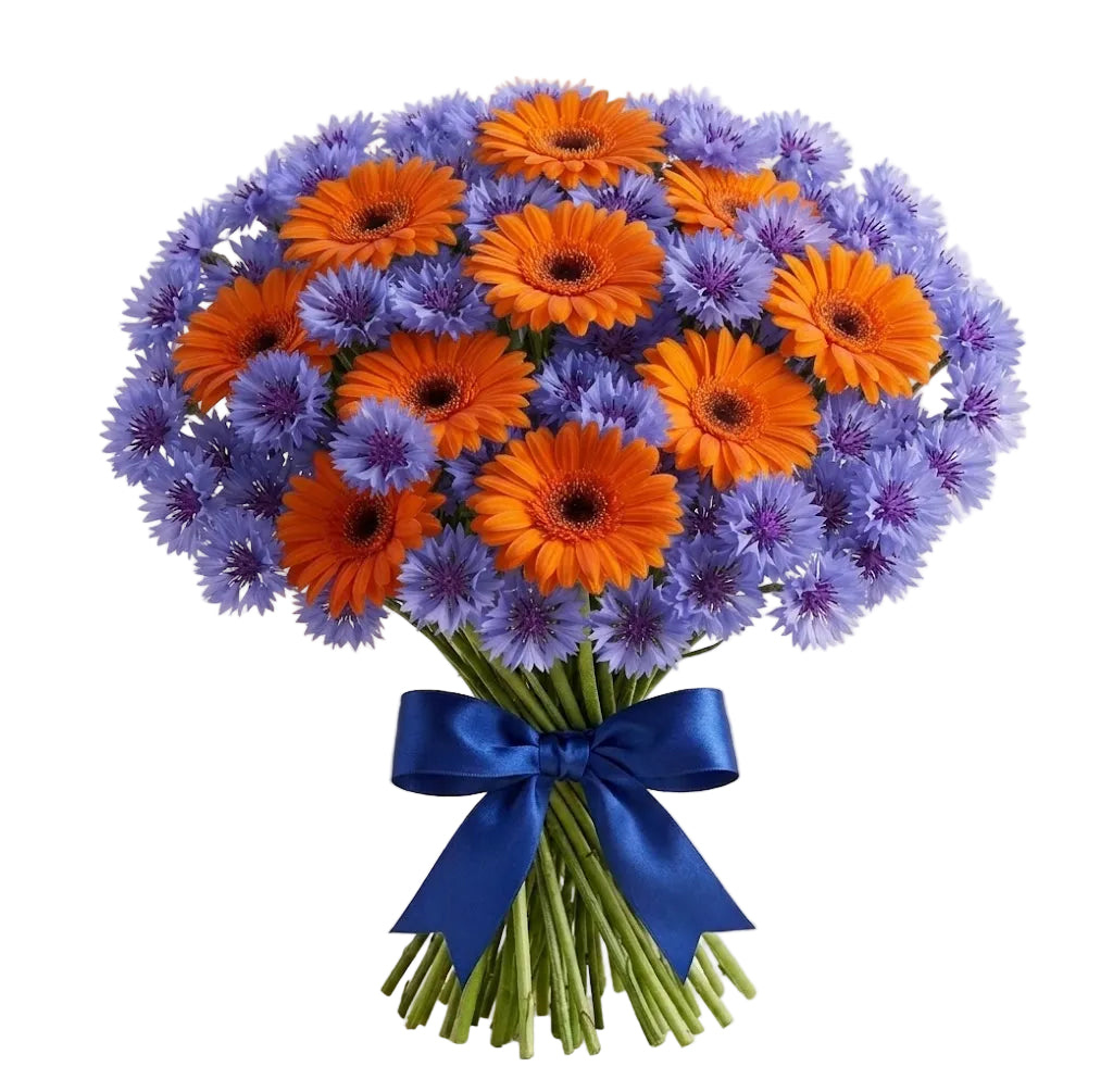 Pretty Bouquet of Gerbera and Cornflowers