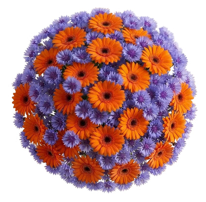 Pretty Bouquet of Gerbera and Cornflowers