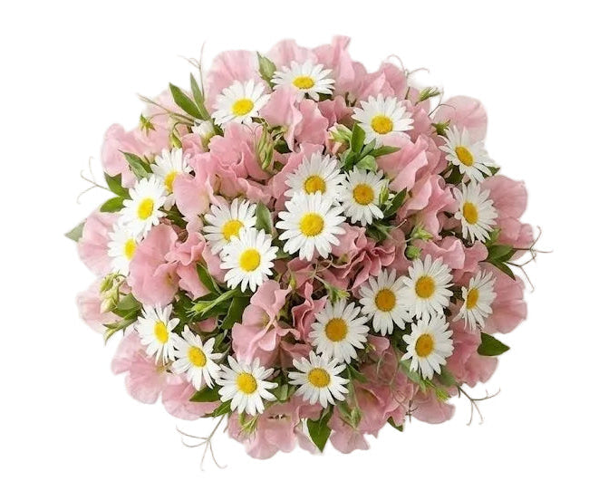 Pretty Bouquet of Sweet Peas and Daisy