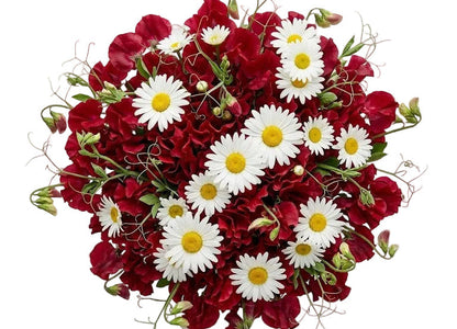 Pretty Bouquet of Sweet Peas and Daisy