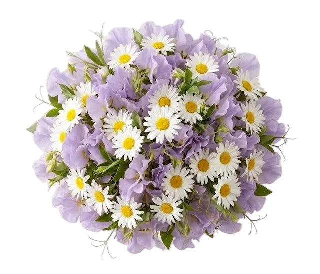 Pretty Bouquet of Sweet Peas and Daisy