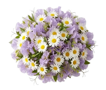 Pretty Bouquet of Sweet Peas and Daisy