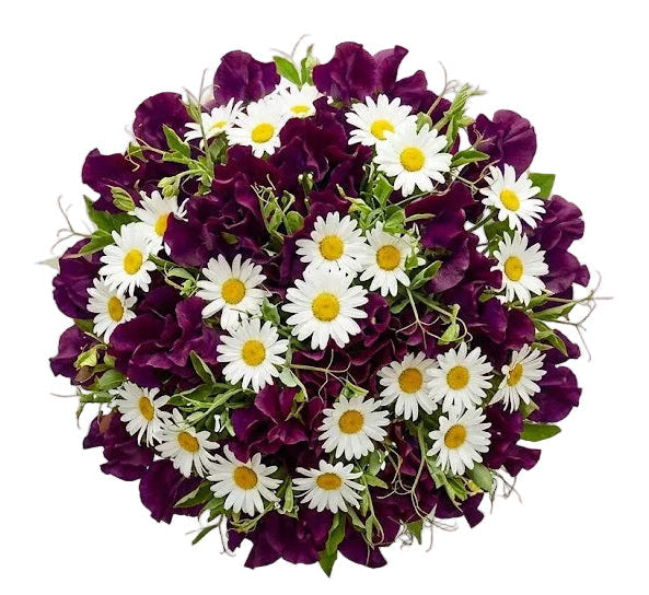 Pretty Bouquet of Sweet Peas and Daisy