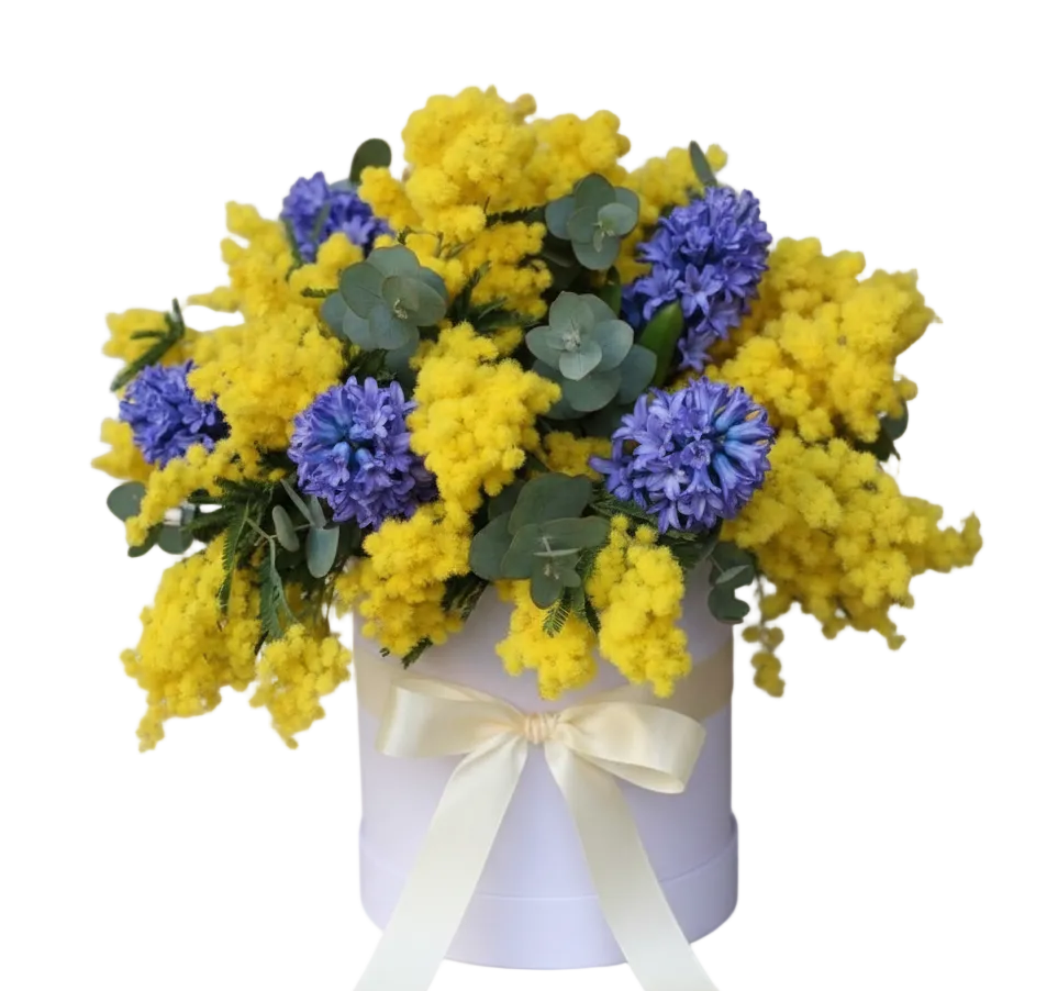 Pretty Box of Mimosa and Hyacinth