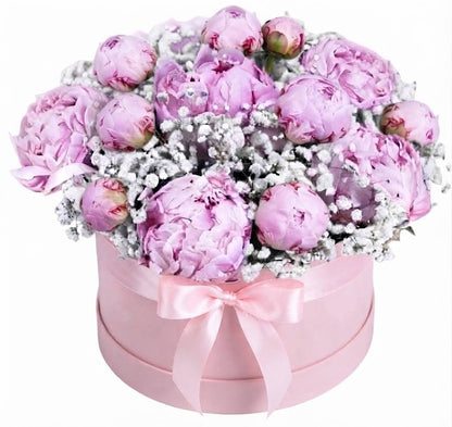 A round pink gift box filled with a bouquet of light purple-pink peonies and white baby's breath, tied with a matching pink ribbon, on a white background.